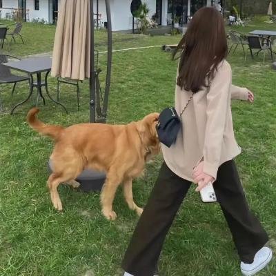 潘多拉的秘密